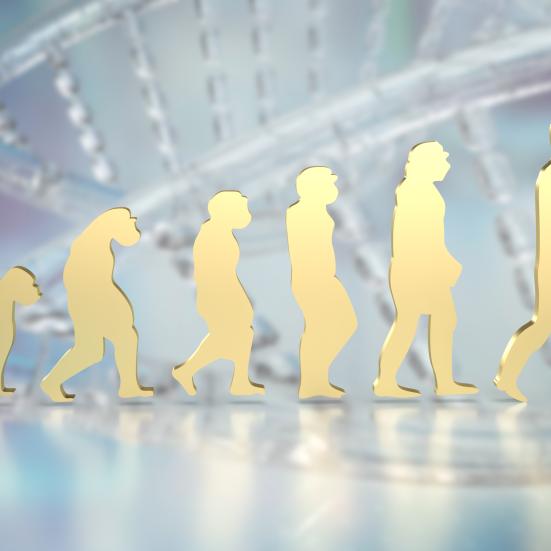 Menneskers evolution vist med silhouetter, det går på række. I baggrunden ses et abstrakt billede af en DNA-streng.