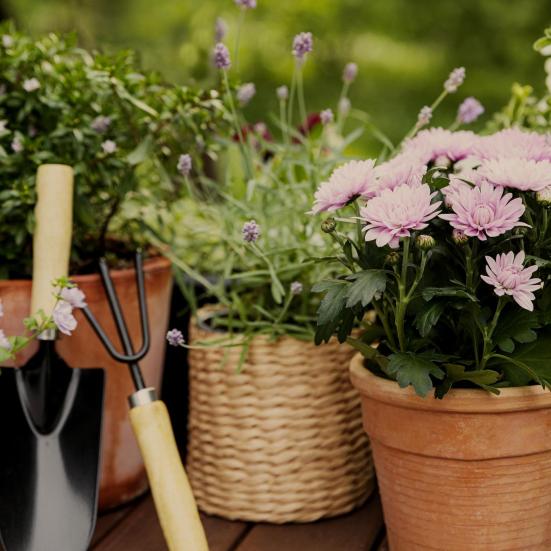 Blomsterkrukker og haveudstyr, med en grøn have i baggrunden.