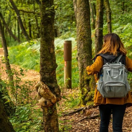 Kvinde med rygsæk på, der går tur i en skov.