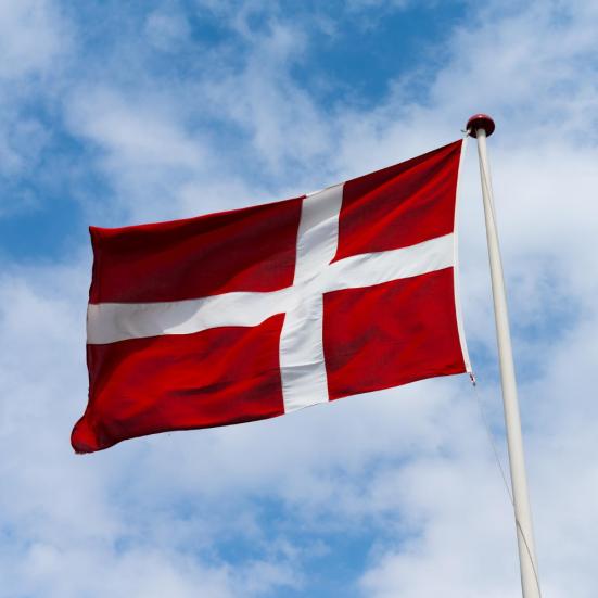 Dannebrogsflag på flagstand.