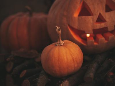 Græskar, der ligger på noget brænde. Et af dem er skåret som et klassisk Halloween-ansigt.