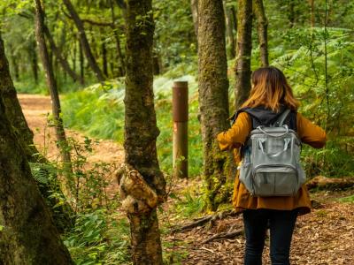 Kvinde med rygsæk på, der går tur i en skov.
