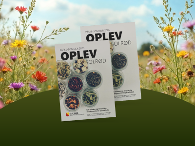 Arrangementsfolderen OPLEV, april-juni 2026, på en baggrund af forårsblomster.