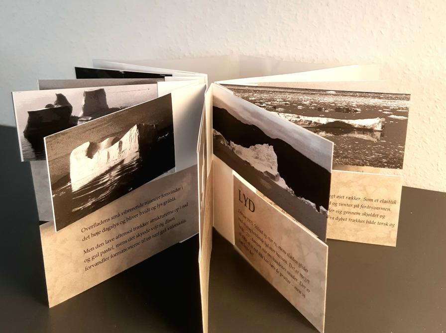 Artists' Book af Ole Reinhold Jensen.