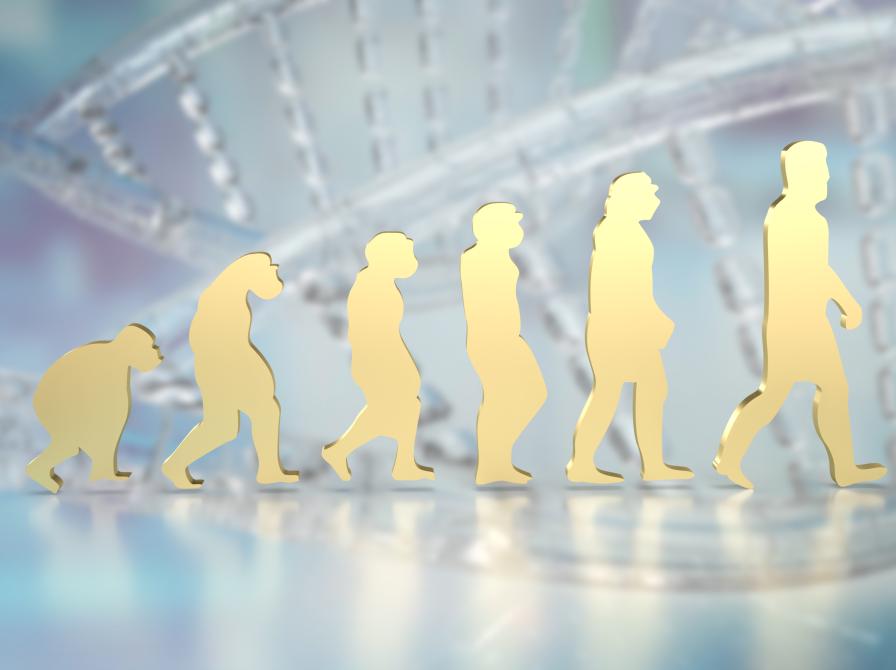 Menneskers evolution vist med silhouetter, det går på række. I baggrunden ses et abstrakt billede af en DNA-streng.