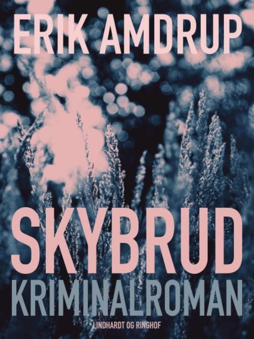 Erik Amdrup: Skybrud : kriminalroman